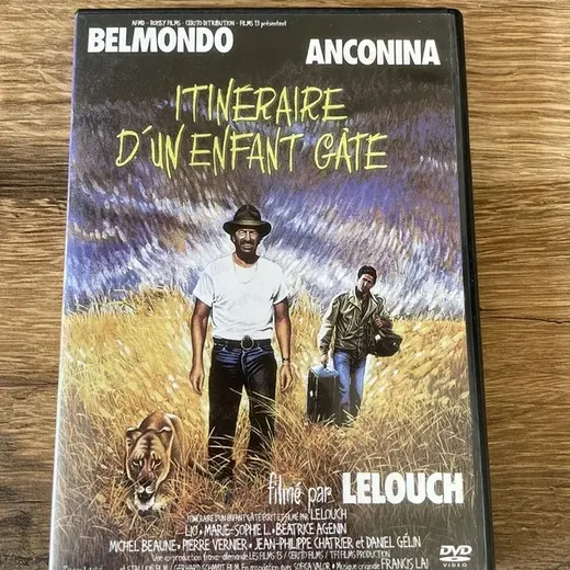 DVD itinéraire d’un enfant gâté