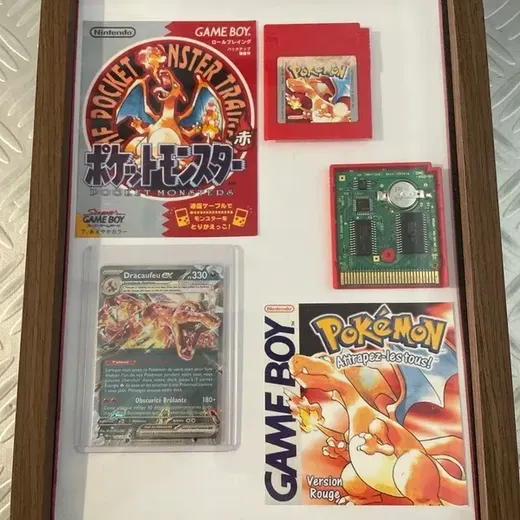 Cadre décoratif Pokémon fait main DRACAUFEU