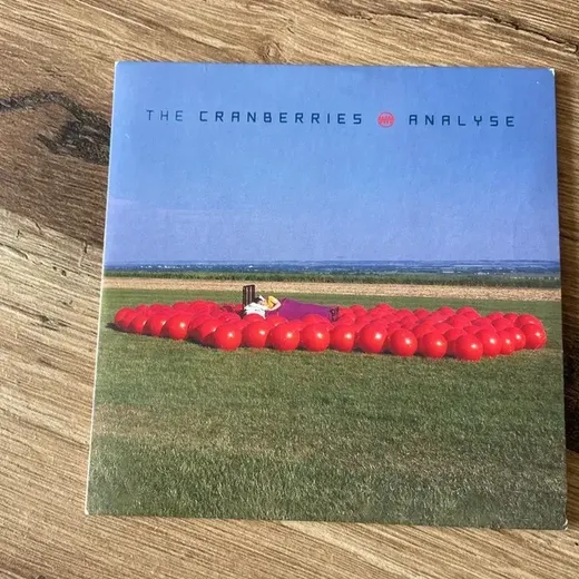 Single the cranberries analyse