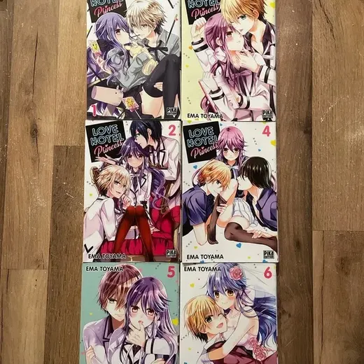 Love hotel princess