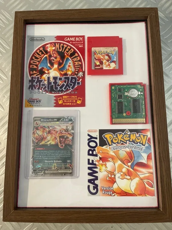 Cadre décoratif Pokémon fait main DRACAUFEU