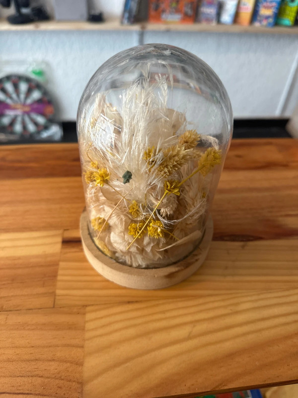 Décoration sous cloche en verre