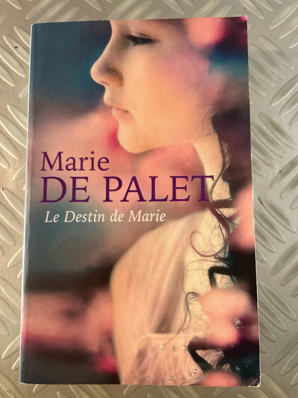 Livre le destin de marie de marie de palet